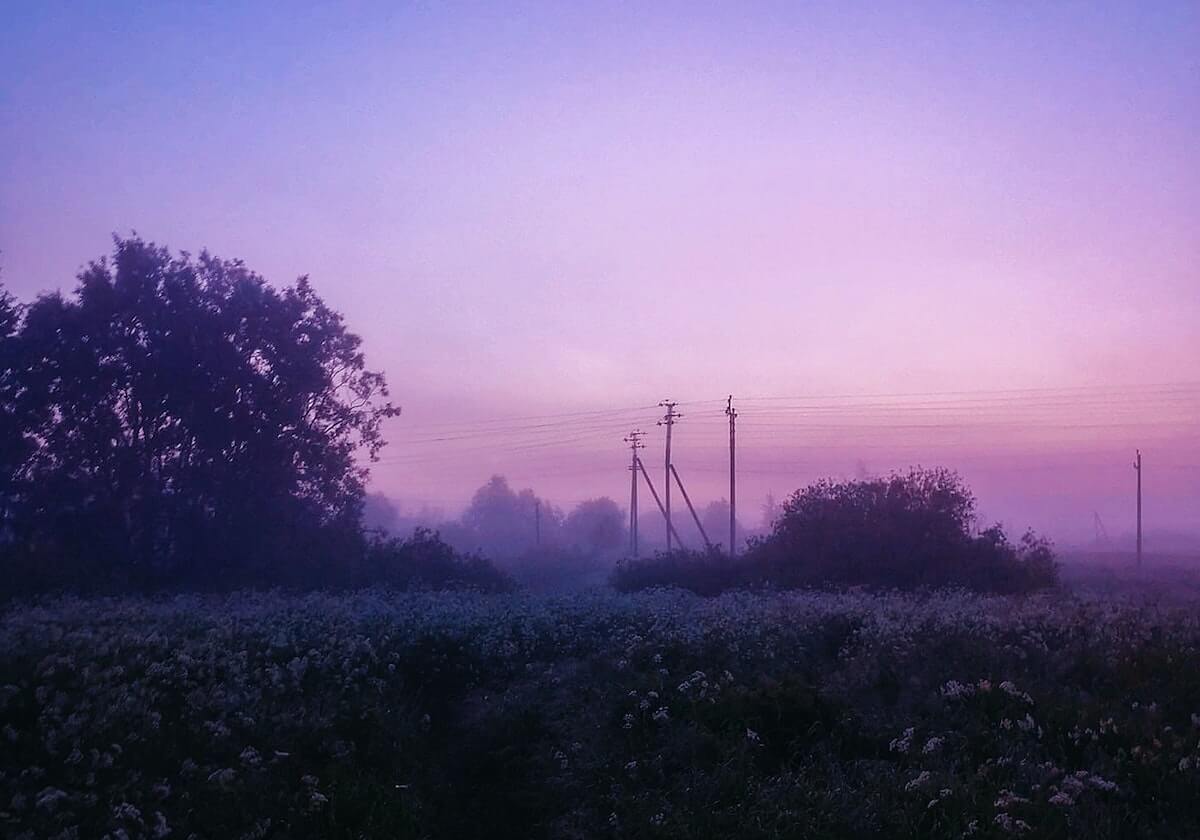 乐鱼官方网站：开启全新娱乐体验的数字入口